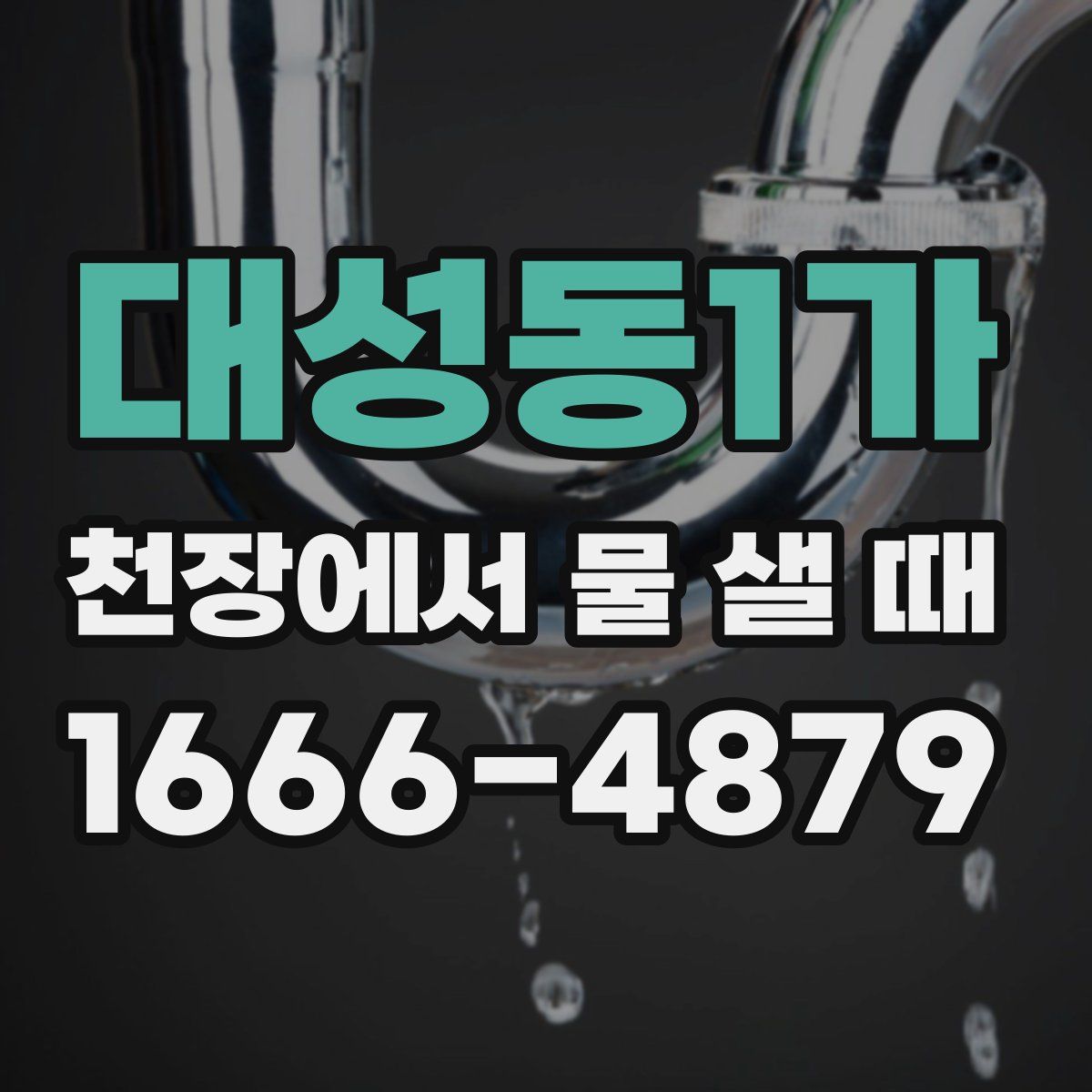 대성동1가 천장에서 물 샐 때