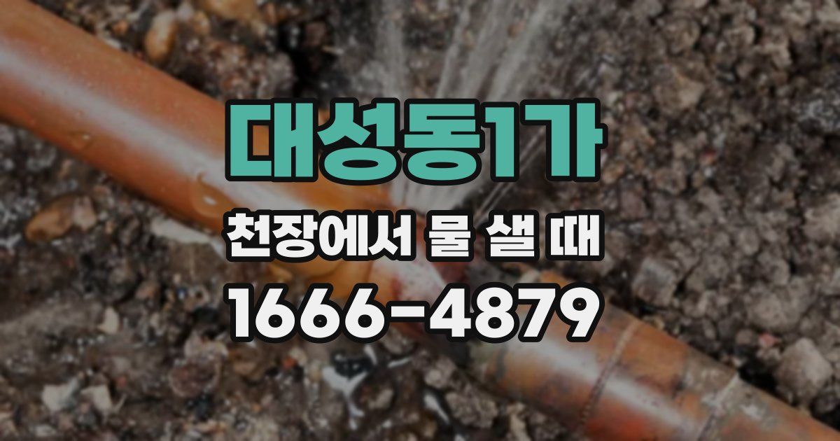 대성동1가 천장에서 물 샐 때