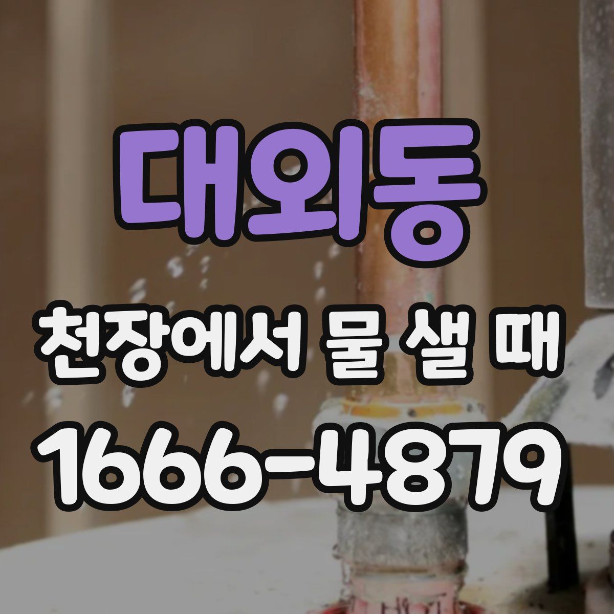 대외동 천장에서 물 샐 때