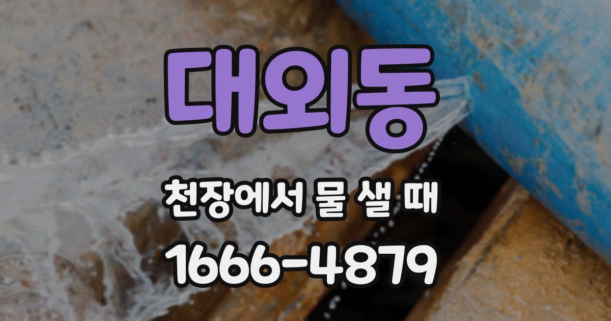 대외동 천장에서 물 샐 때