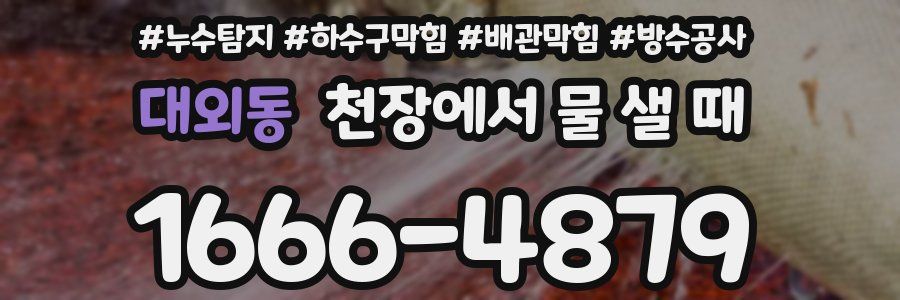 대외동 천장에서 물 샐 때