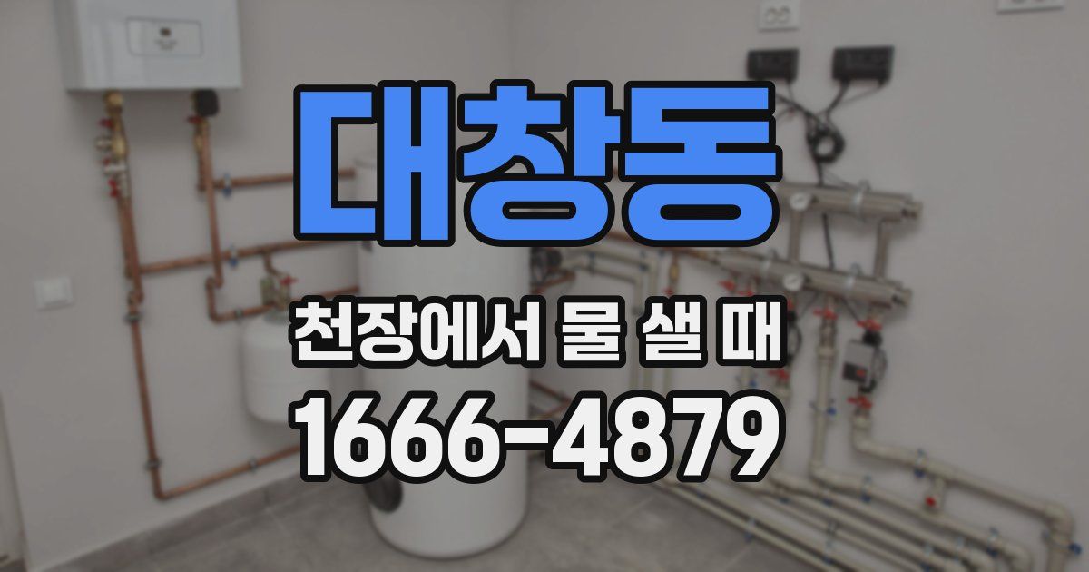대창동 천장에서 물 샐 때