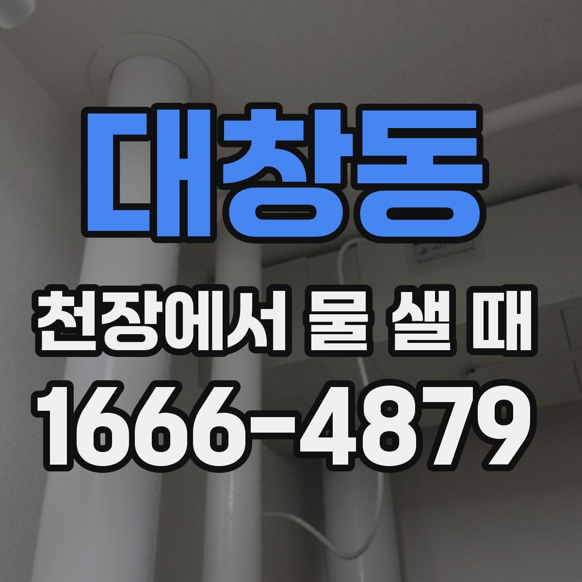 대창동 천장에서 물 샐 때