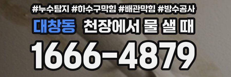 대창동 천장에서 물 샐 때