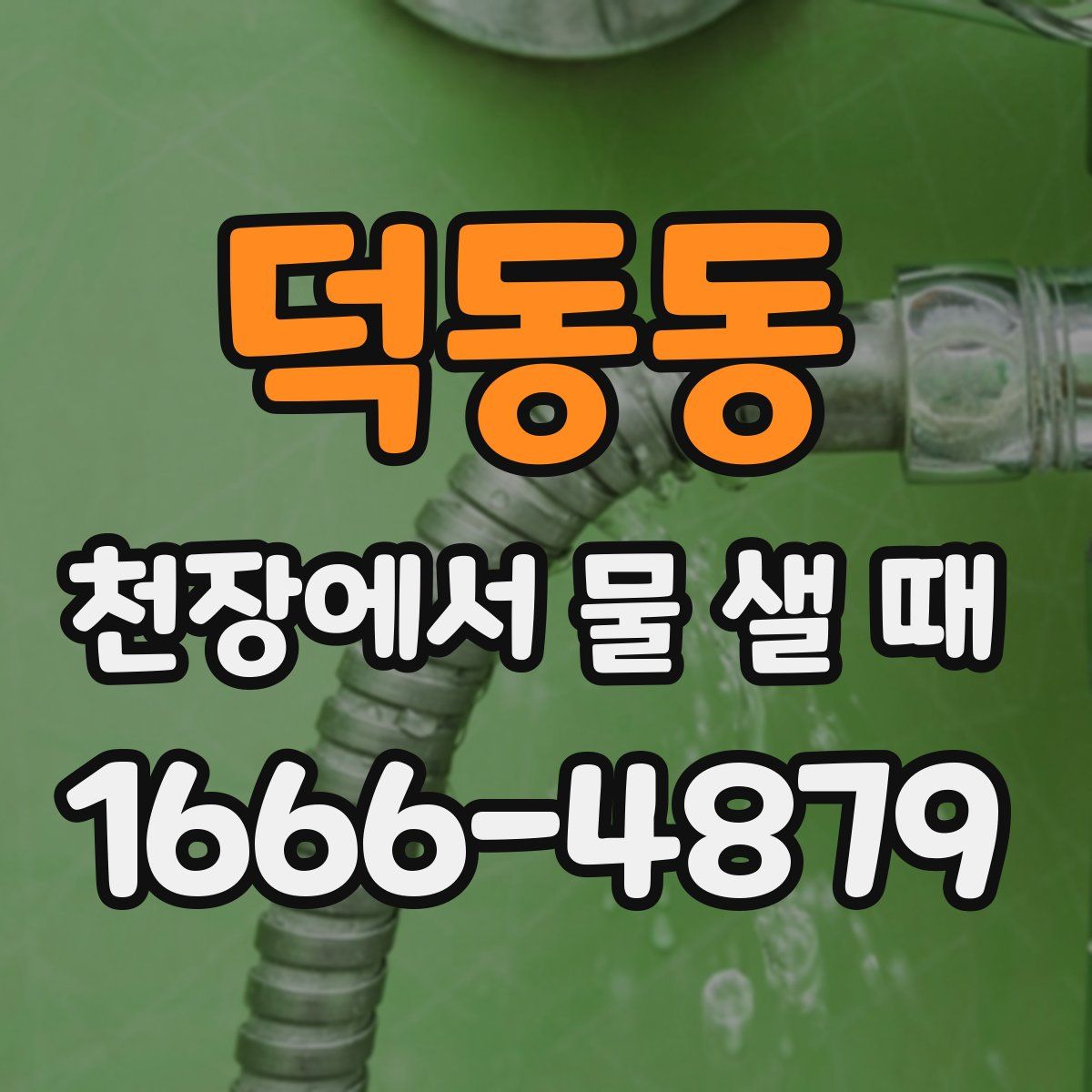 덕동동 천장에서 물 샐 때