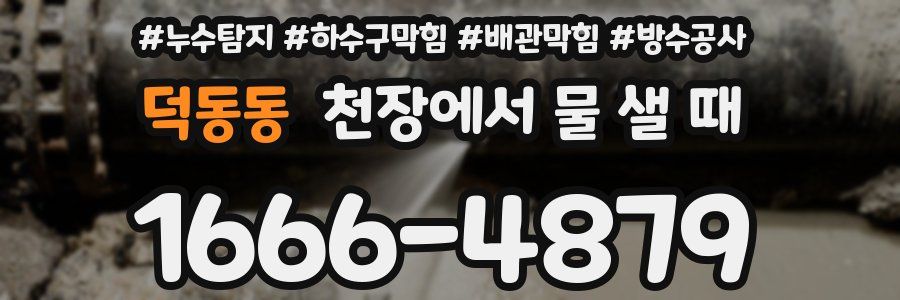 덕동동 천장에서 물 샐 때
