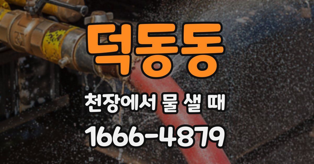 덕동동 천장에서 물 샐 때