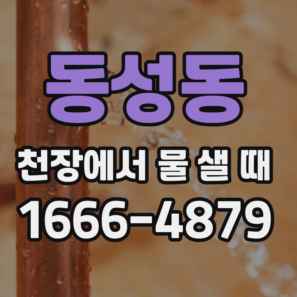 동성동 천장에서 물 샐 때