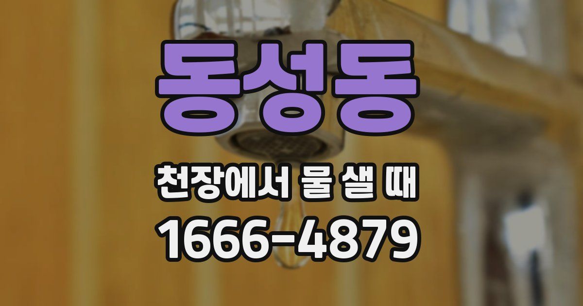 동성동 천장에서 물 샐 때