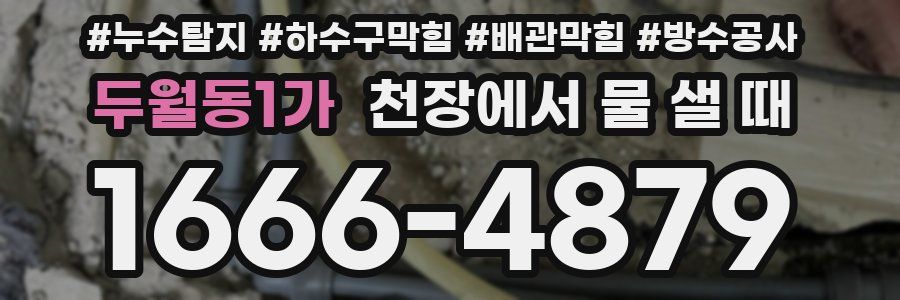 두월동1가 천장에서 물 샐 때
