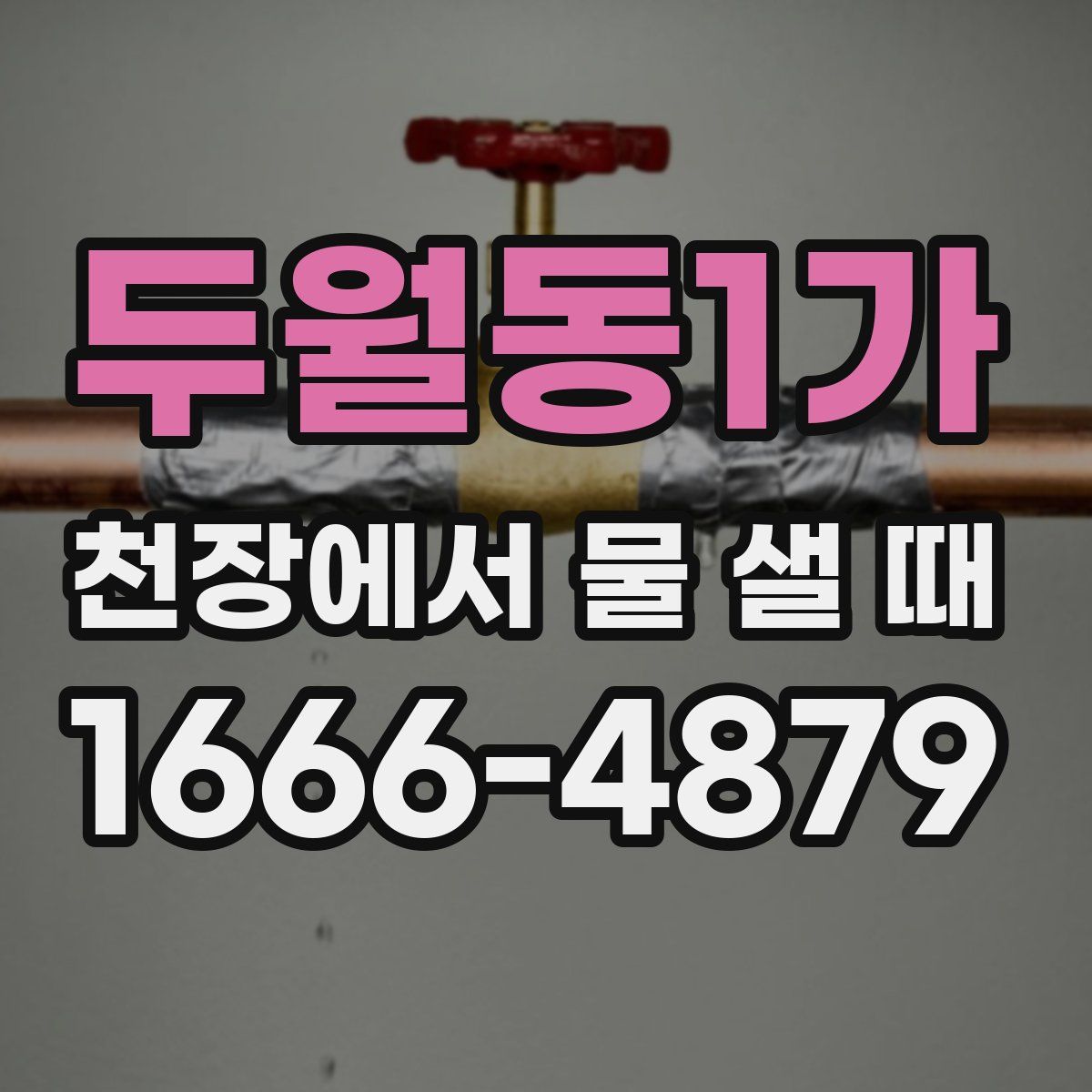 두월동1가 천장에서 물 샐 때