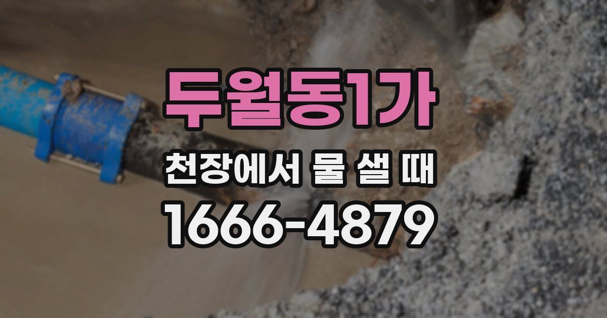 두월동1가 천장에서 물 샐 때