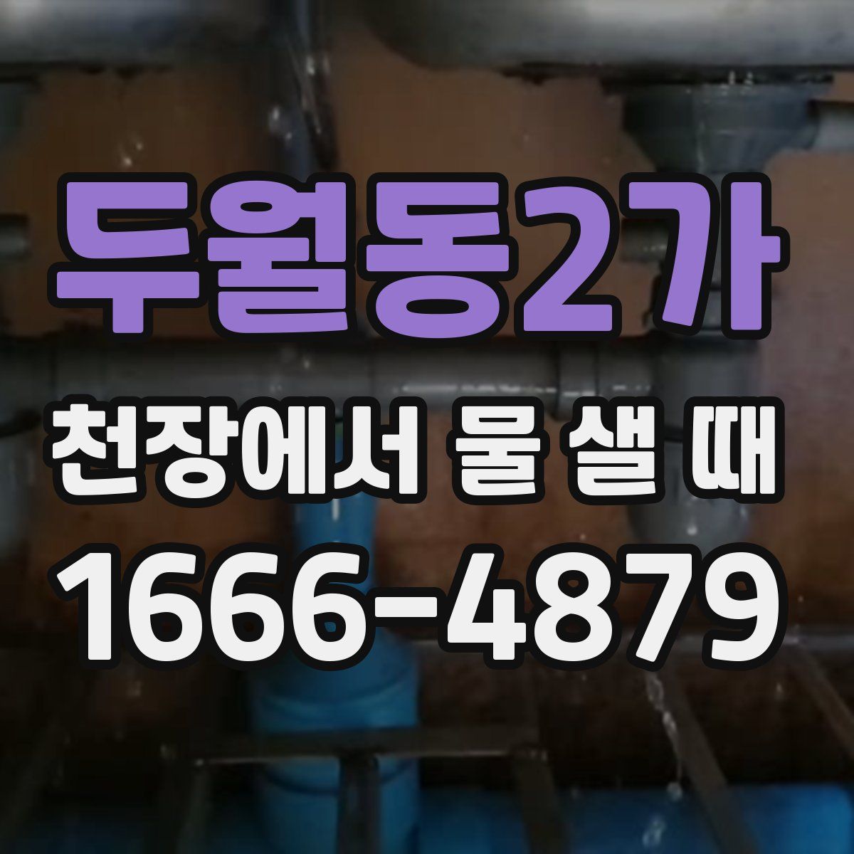 두월동2가 천장에서 물 샐 때