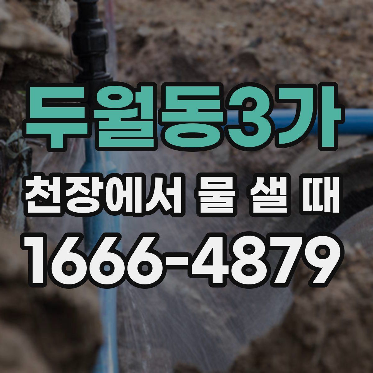 두월동3가 천장에서 물 샐 때
