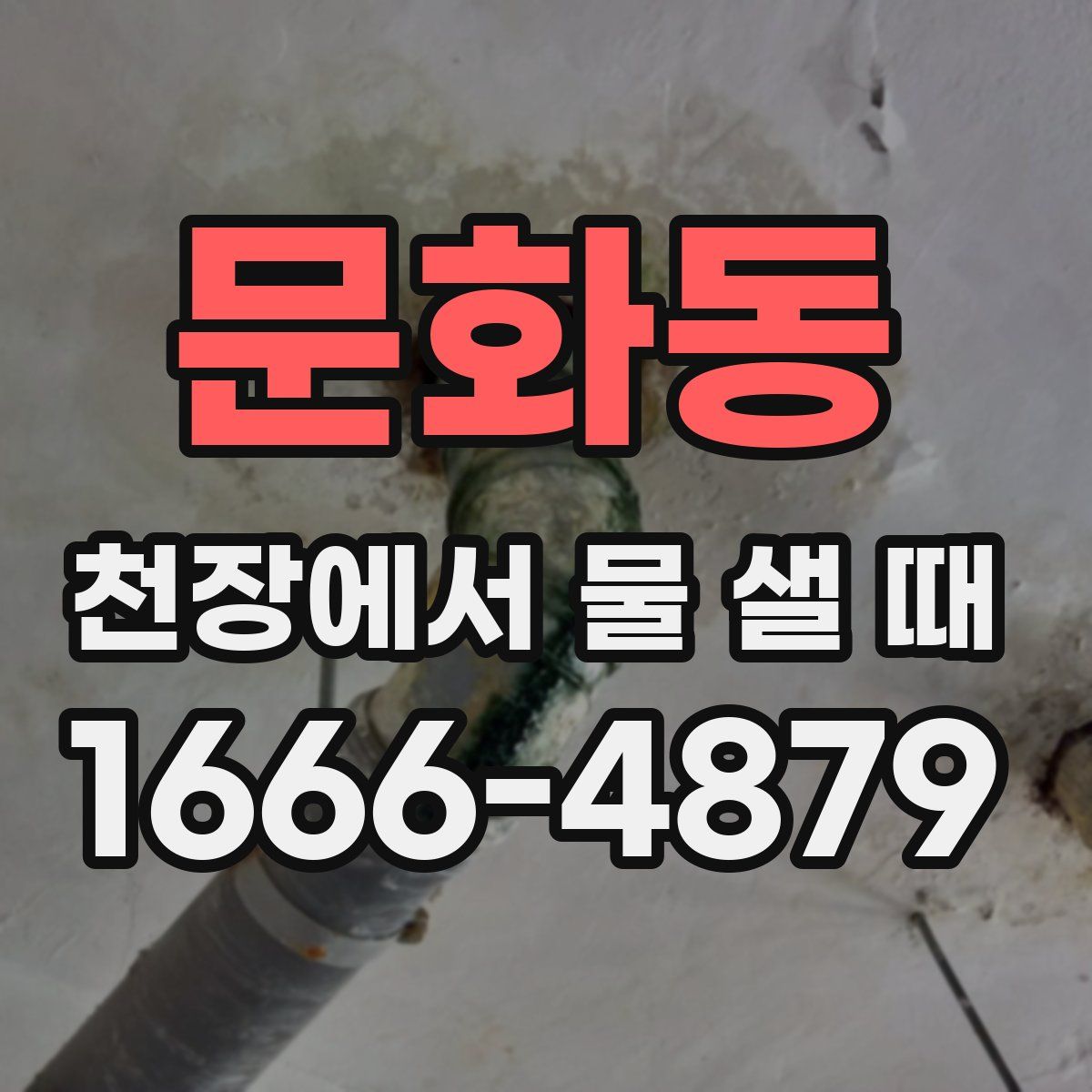 문화동 천장에서 물 샐 때