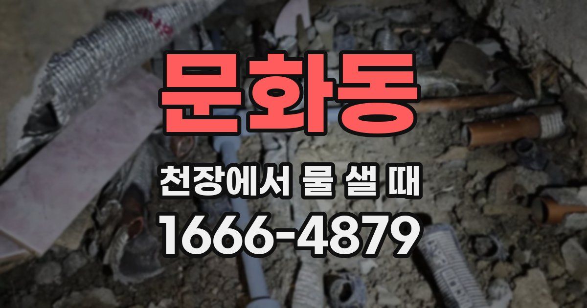 문화동 천장에서 물 샐 때