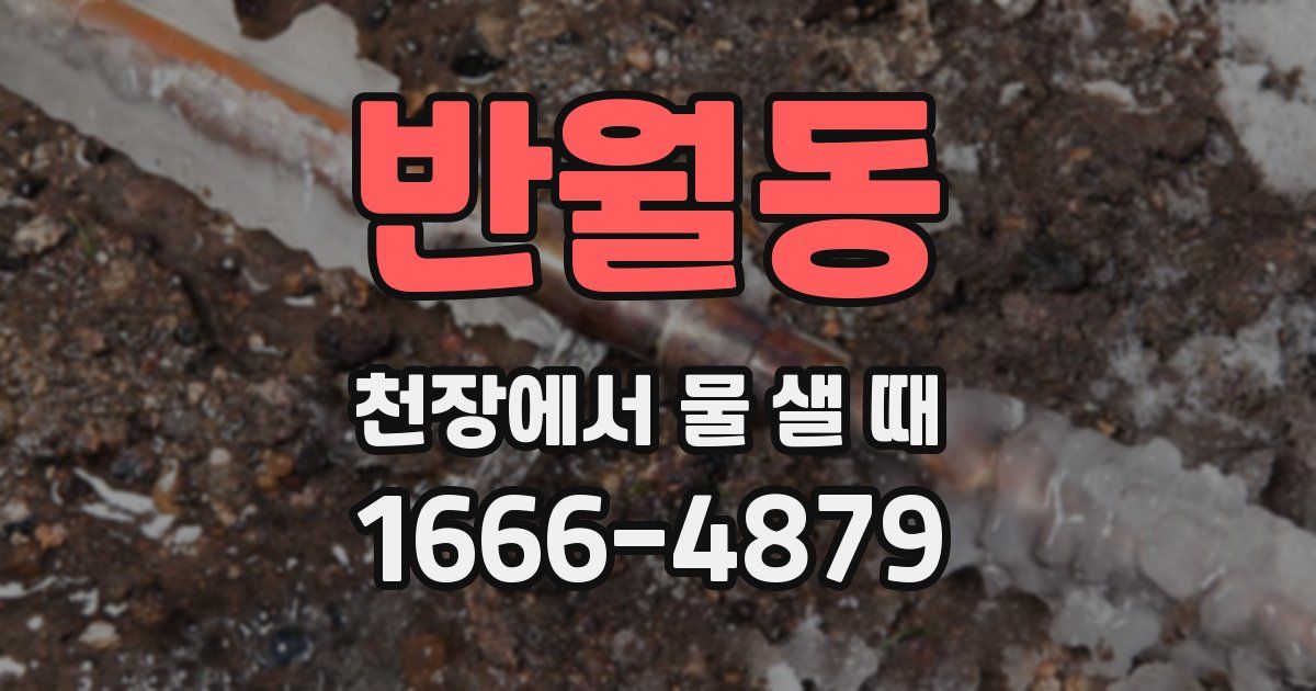 반월동 천장에서 물 샐 때