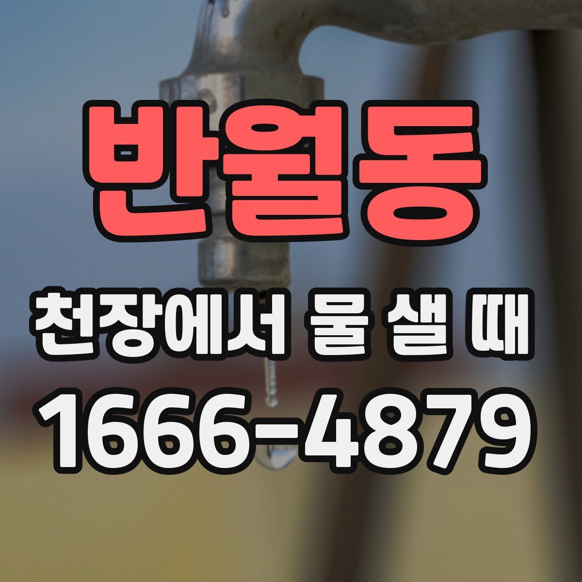 반월동 천장에서 물 샐 때