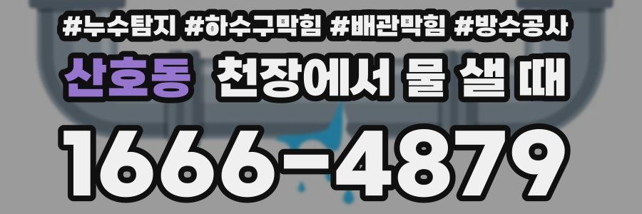 산호동 천장에서 물 샐 때