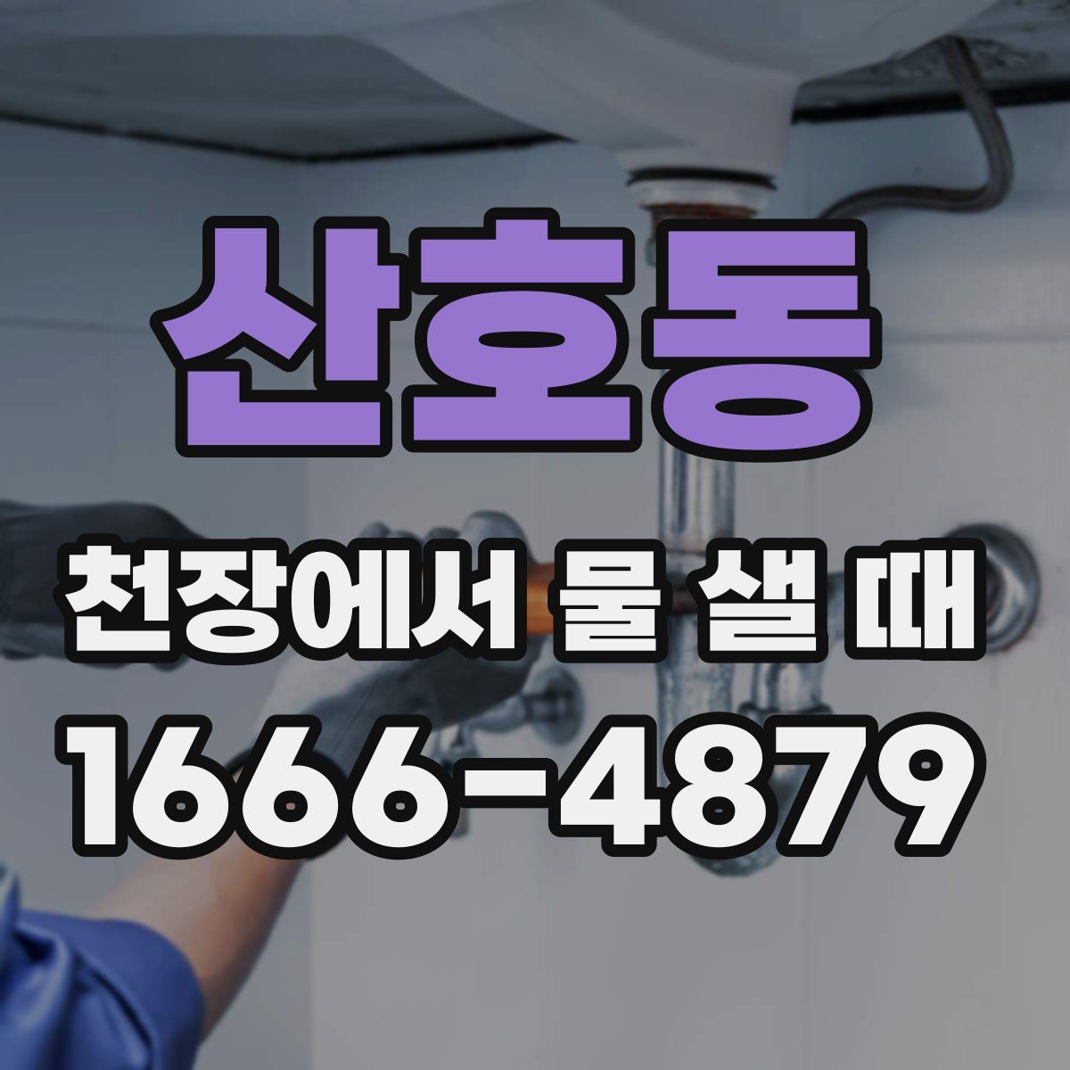 산호동 천장에서 물 샐 때