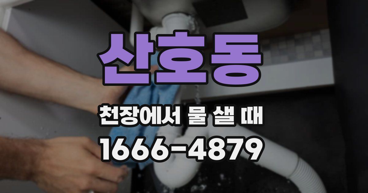 산호동 천장에서 물 샐 때