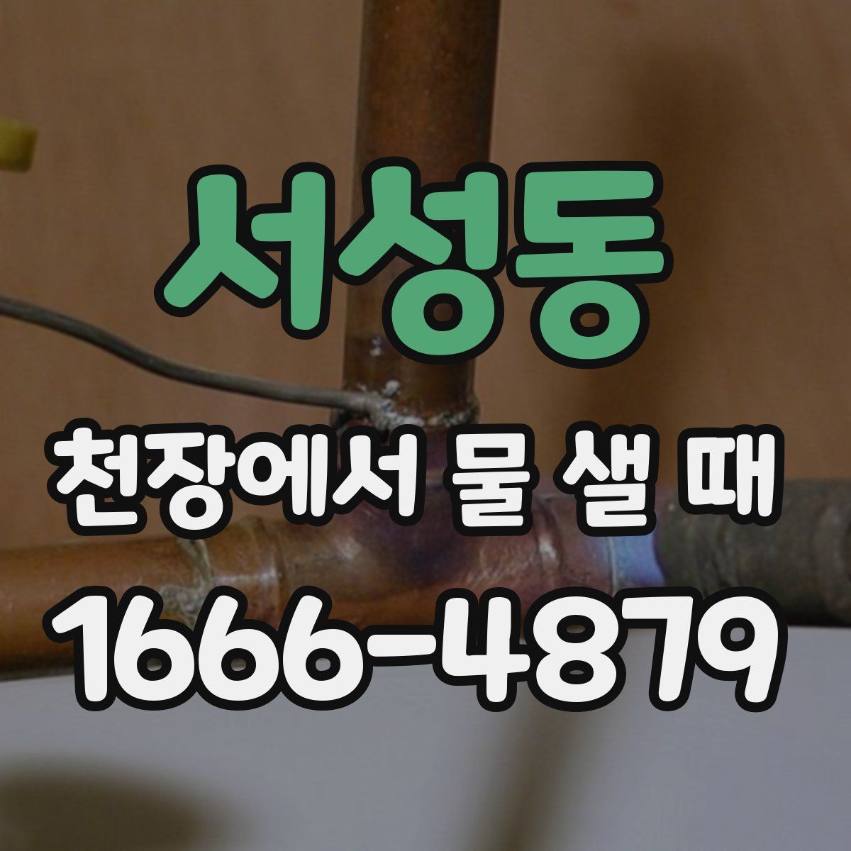 서성동 천장에서 물 샐 때