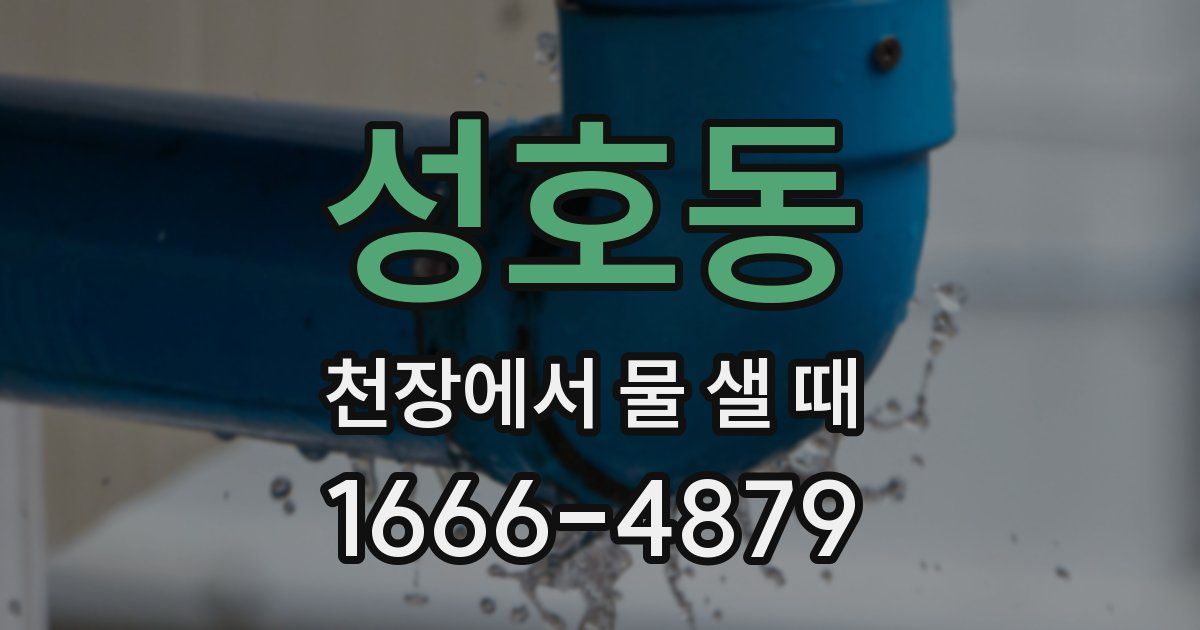 성호동 천장에서 물 샐 때