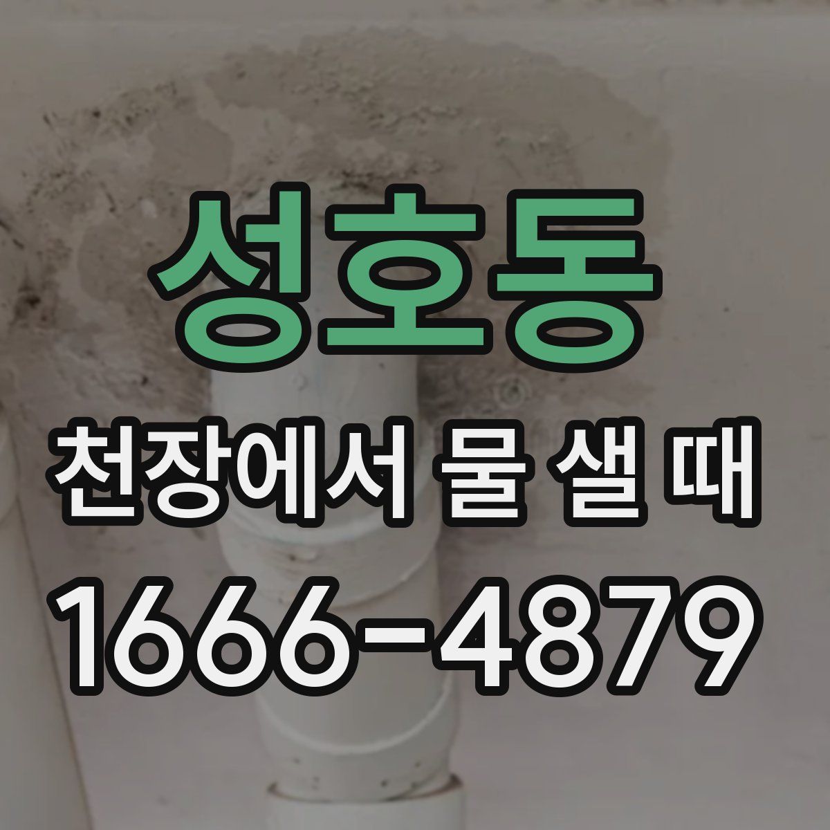성호동 천장에서 물 샐 때