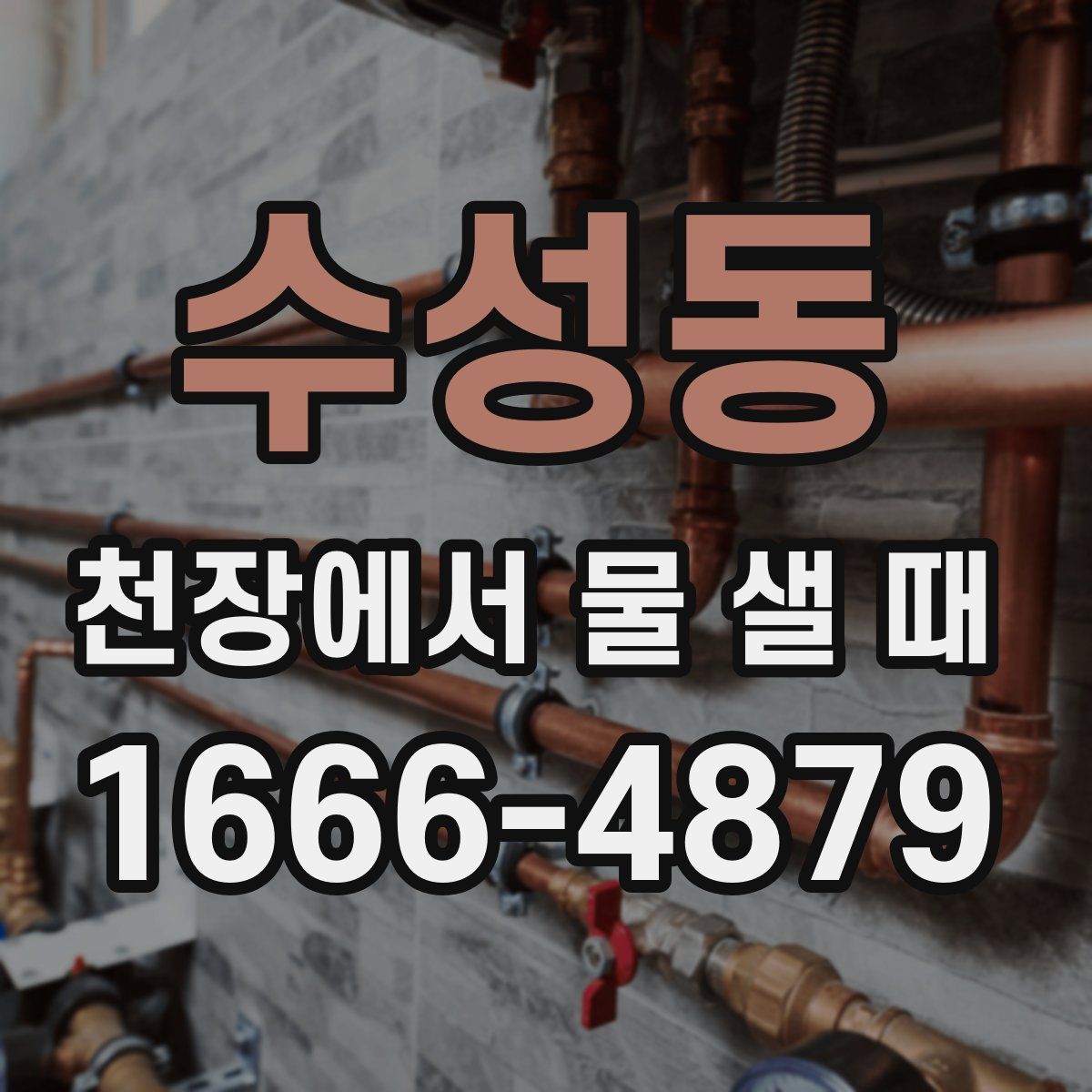 수성동 천장에서 물 샐 때