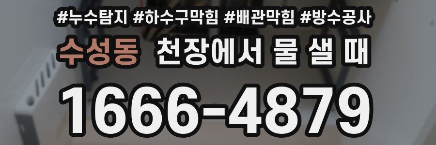 수성동 천장에서 물 샐 때