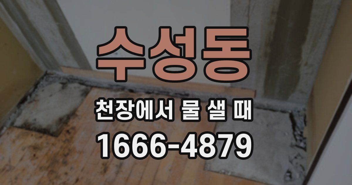 수성동 천장에서 물 샐 때