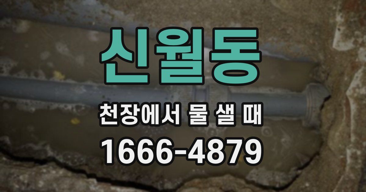 신월동 천장에서 물 샐 때
