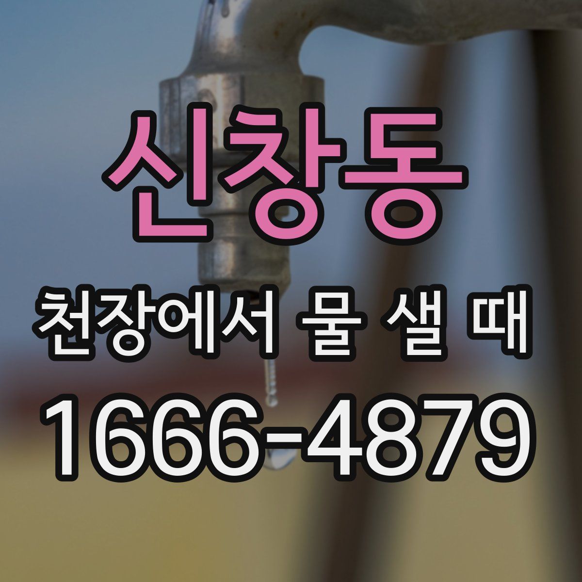 신창동 천장에서 물 샐 때
