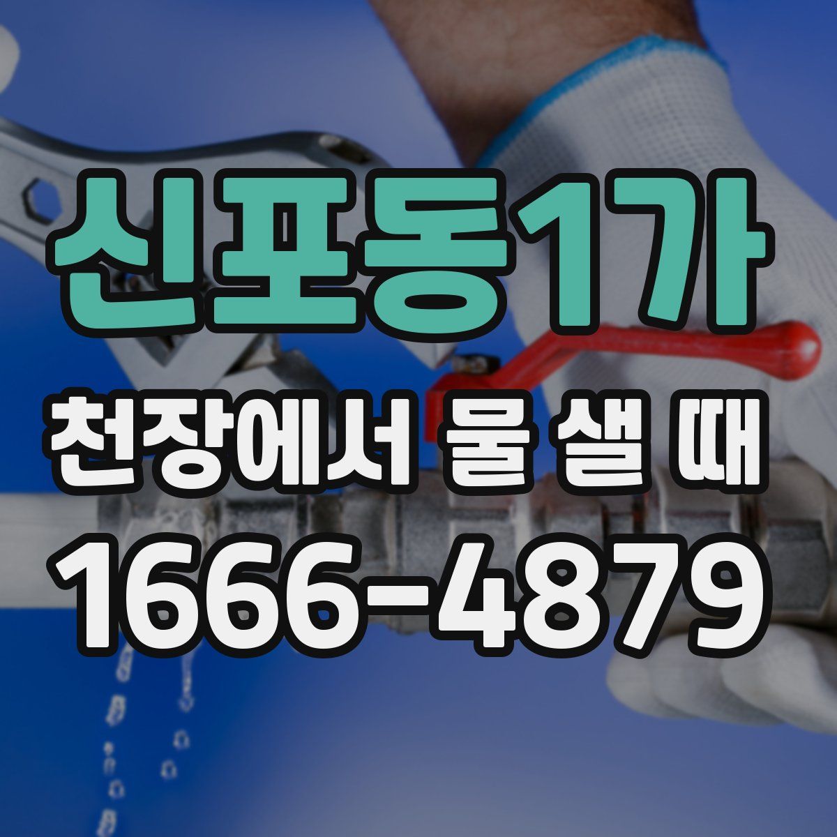 신포동1가 천장에서 물 샐 때