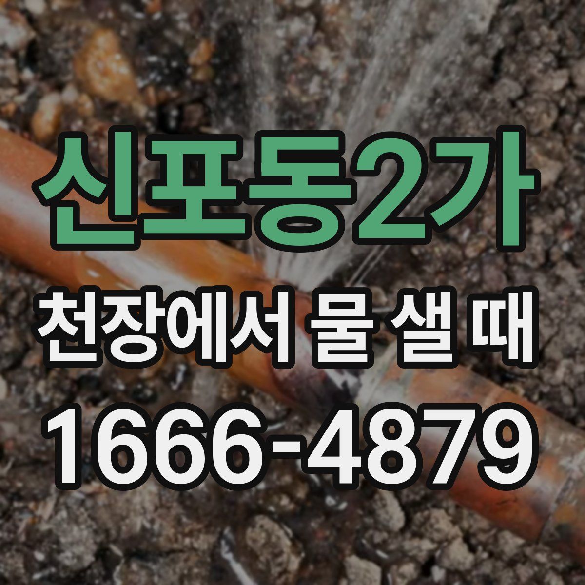 신포동2가 천장에서 물 샐 때
