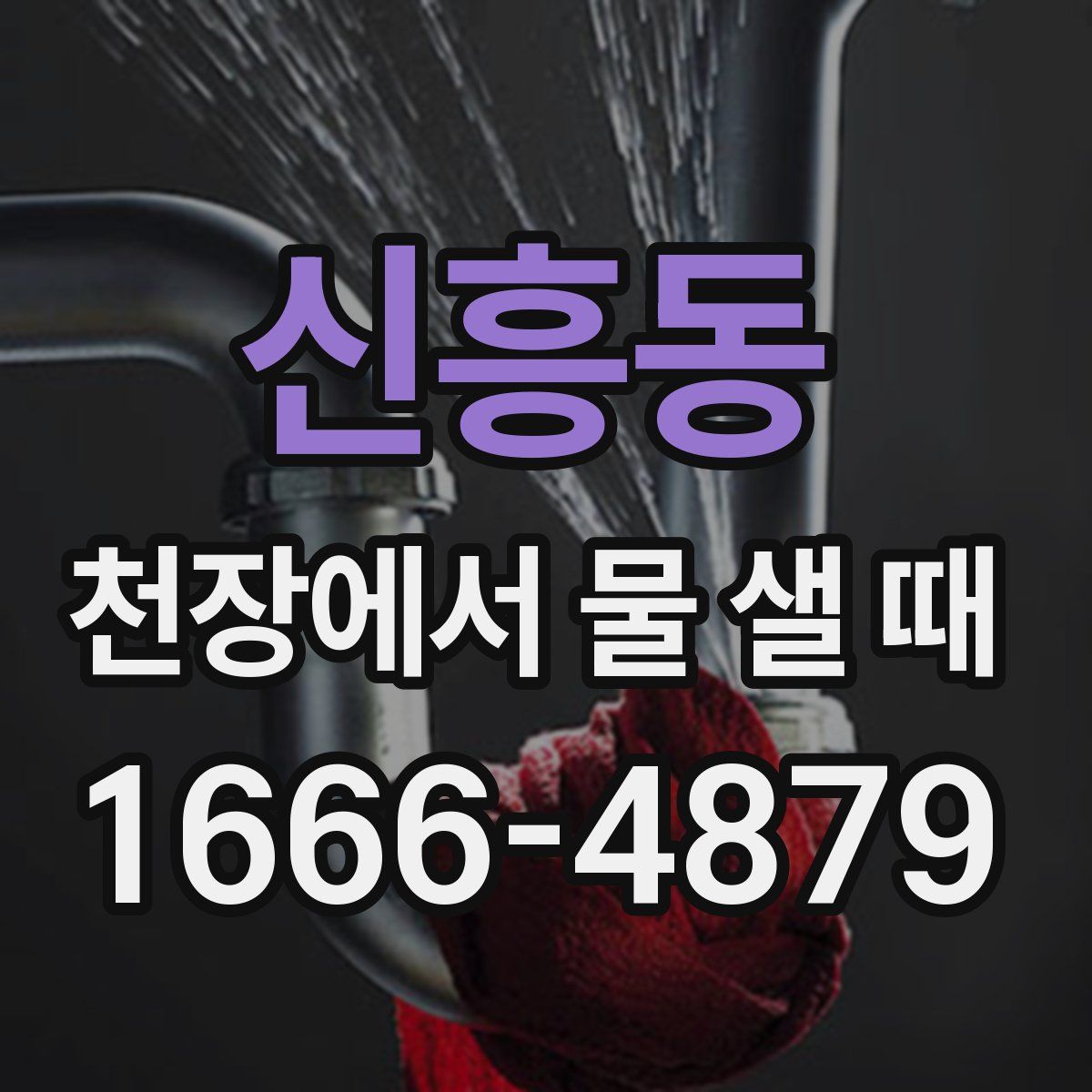 신흥동 천장에서 물 샐 때