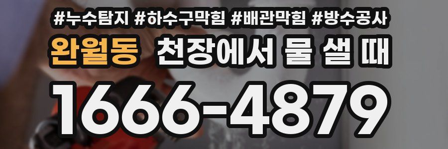 완월동 천장에서 물 샐 때