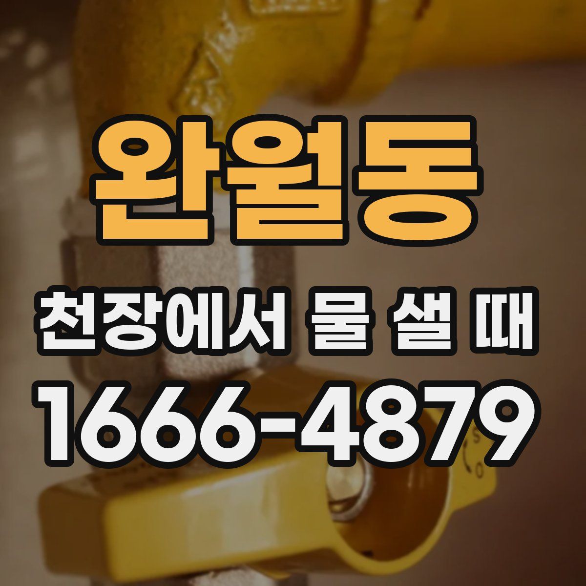 완월동 천장에서 물 샐 때