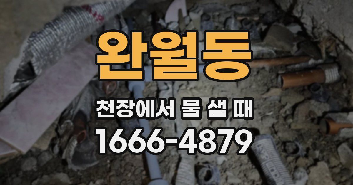 완월동 천장에서 물 샐 때