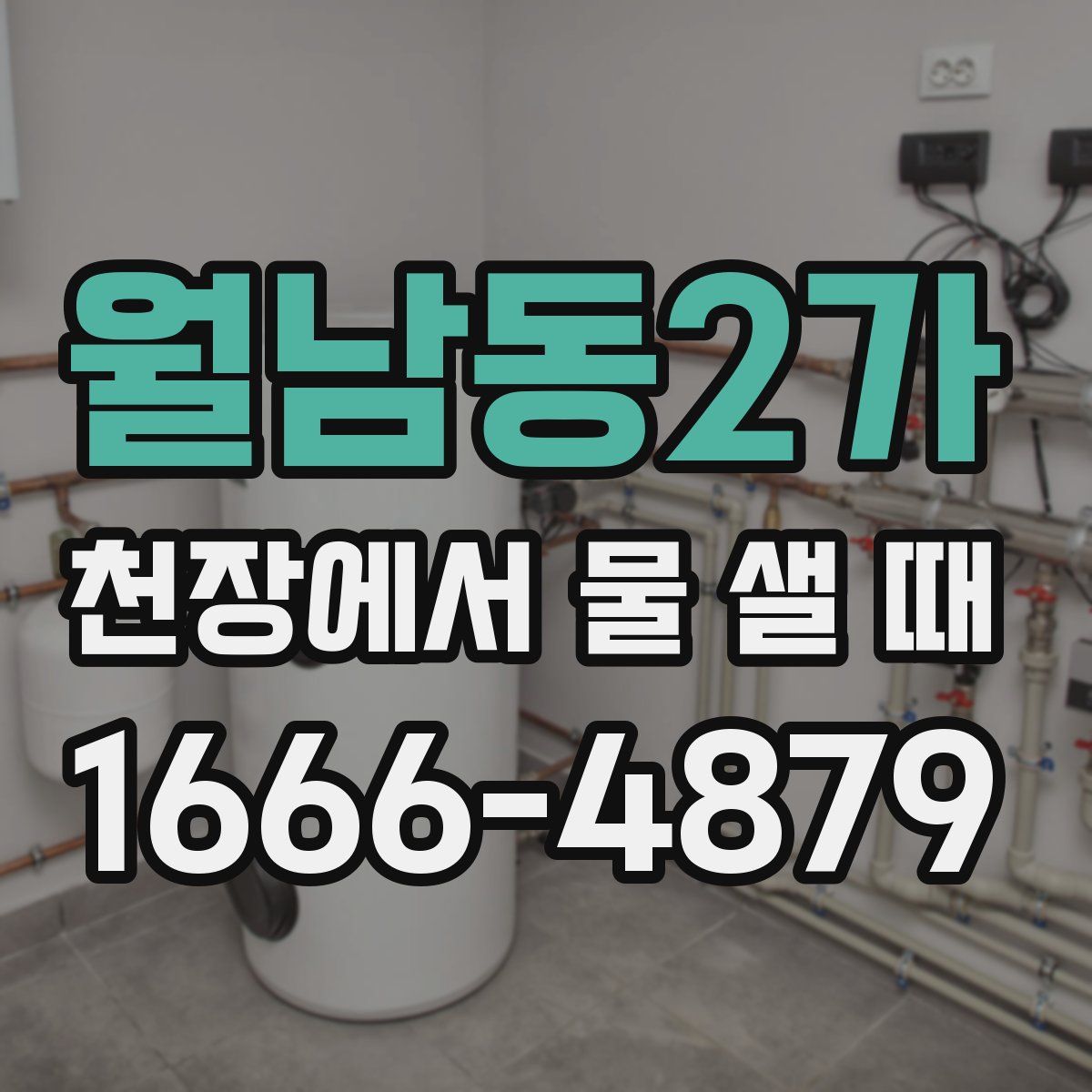 월남동2가 천장에서 물 샐 때