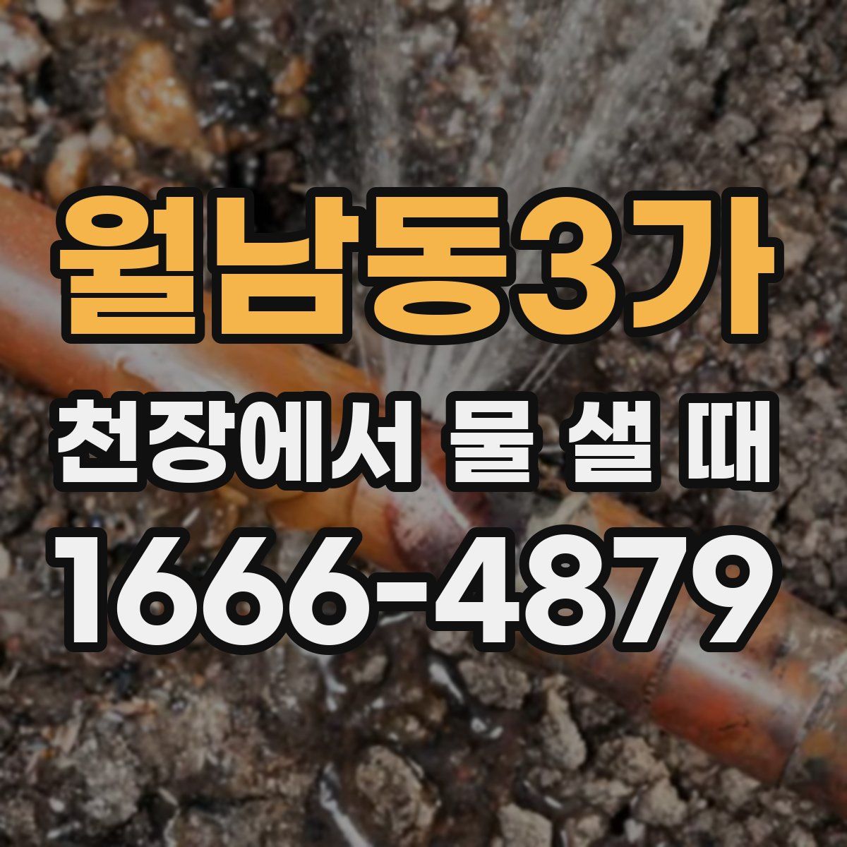 월남동3가 천장에서 물 샐 때