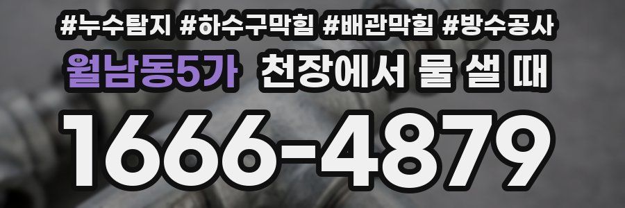 월남동5가 천장에서 물 샐 때
