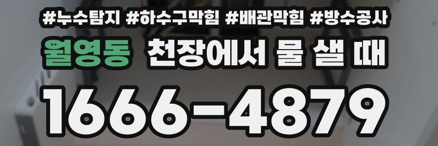 월영동 천장에서 물 샐 때