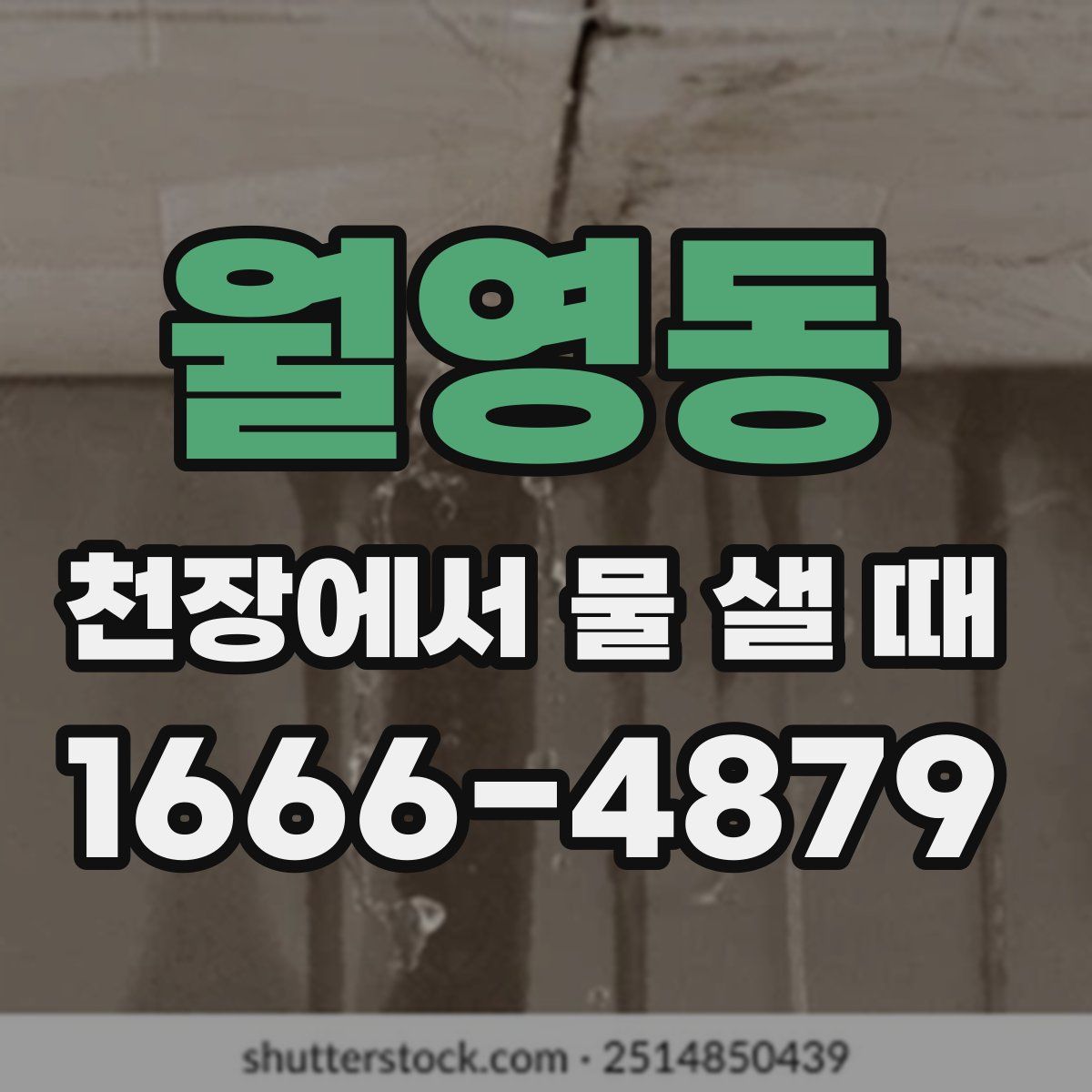 월영동 천장에서 물 샐 때