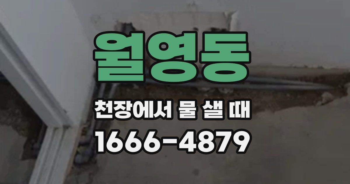 월영동 천장에서 물 샐 때