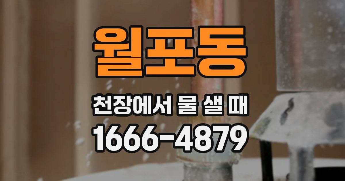 월포동 천장에서 물 샐 때