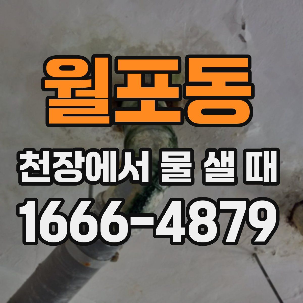 월포동 천장에서 물 샐 때