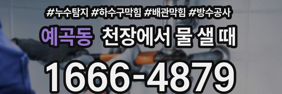 예곡동 천장에서 물 샐 때