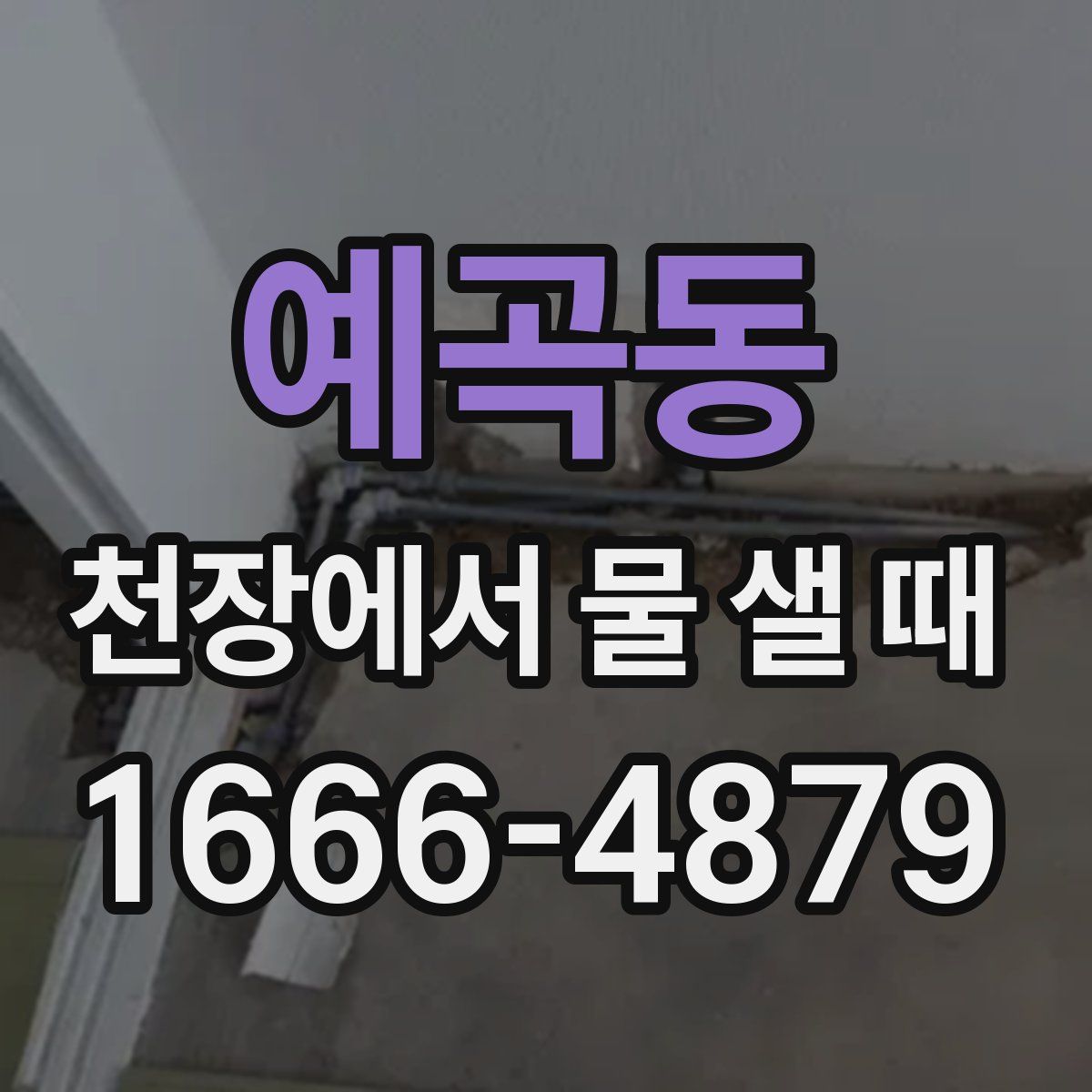 예곡동 천장에서 물 샐 때