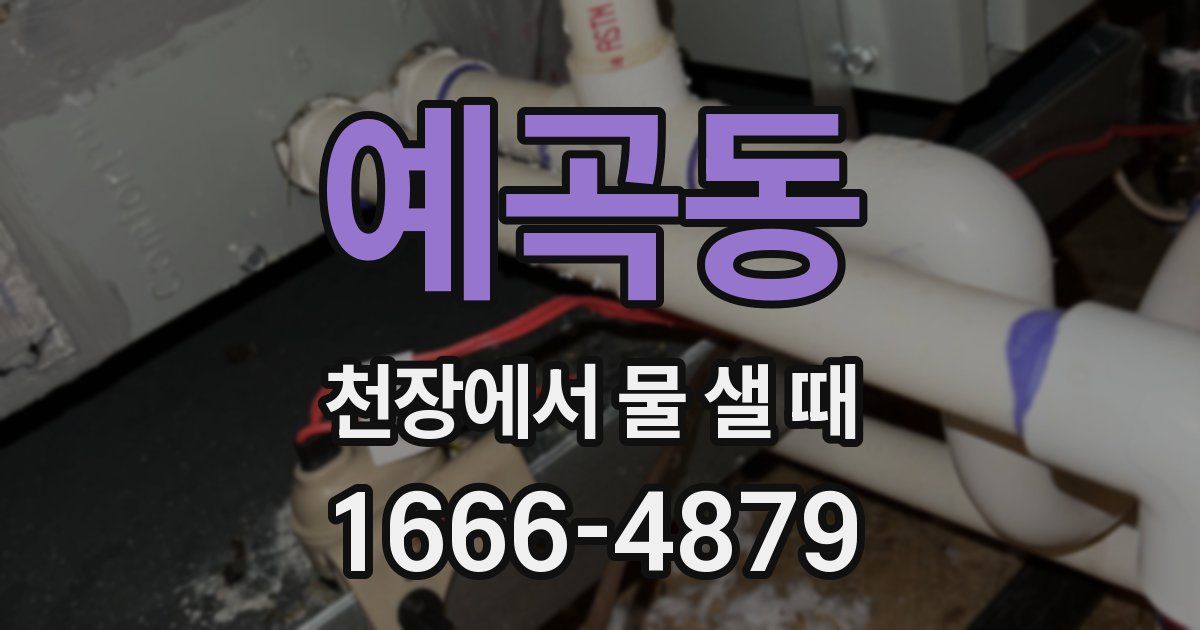 예곡동 천장에서 물 샐 때